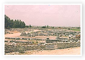 Stock Yard